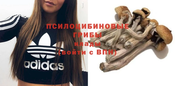 mix Алексеевка