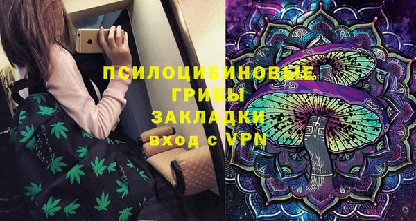 spice Алексин