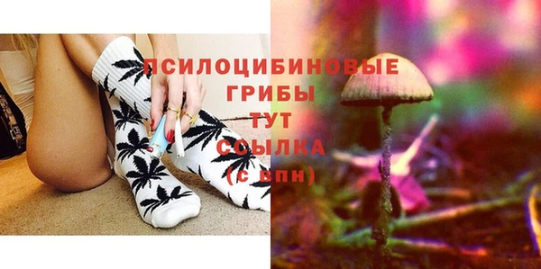 крисы Осинники