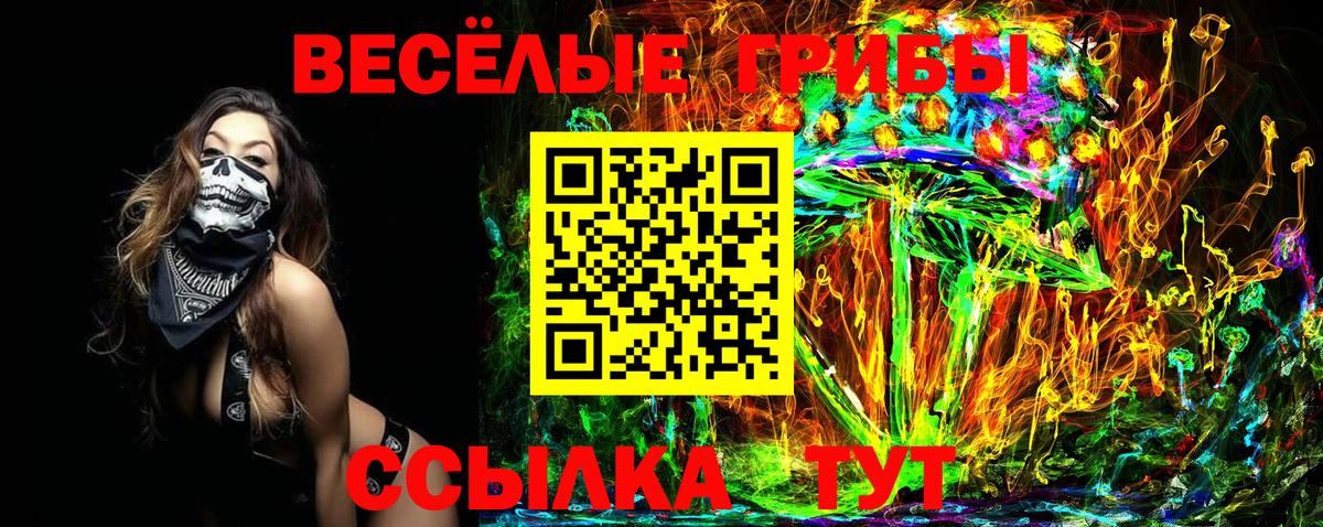 Псилоцибиновые грибы ЛСД Родники